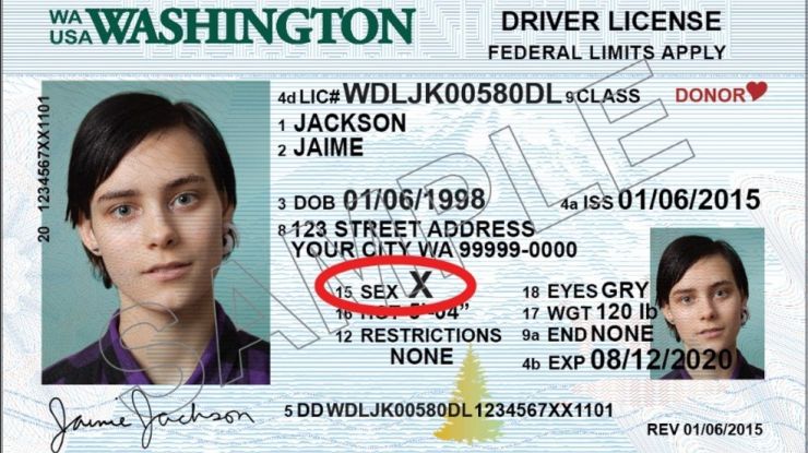 华盛顿州DMV公布的X性别驾照样本