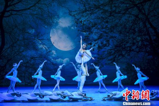 图为经典芭蕾舞剧《天鹅湖》二幕。　骆云飞 摄