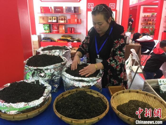 优质的“湖南红茶”品牌亮相湖南农博会。　向一鹏 摄