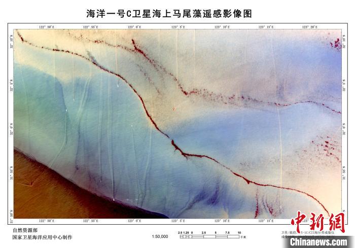 海洋一号C卫星海上马尾藻遥感影像图。刘建强供图