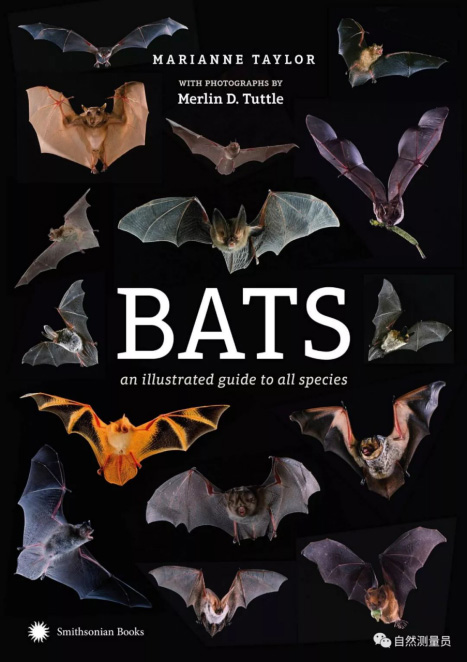 2019年出版的这本世界蝙蝠手册，记录了超过1300种蝙蝠|。 Smithsonian Institution 图
