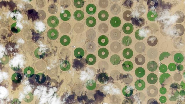这是由“吉林一号”卫星于2月10日拍摄的沙特阿拉伯一处农场。