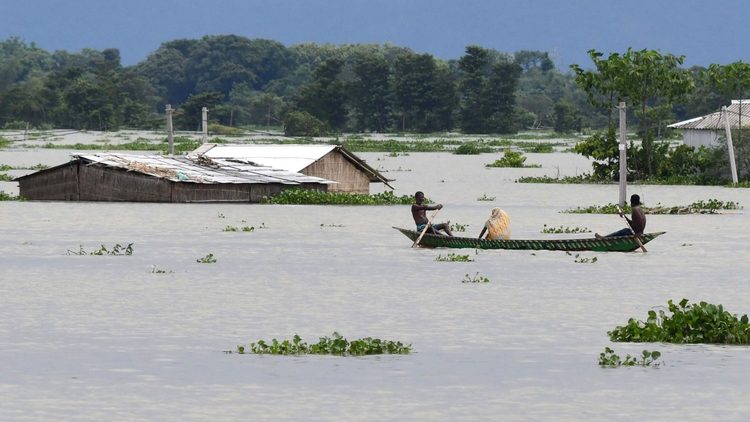 印度阿萨姆邦洪灾已致110人死亡 540万人受灾