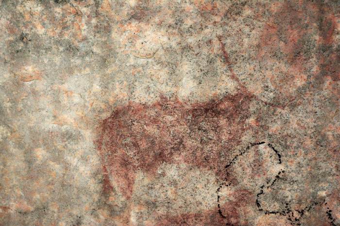 绘有母牛的岩画，埃塞俄比亚