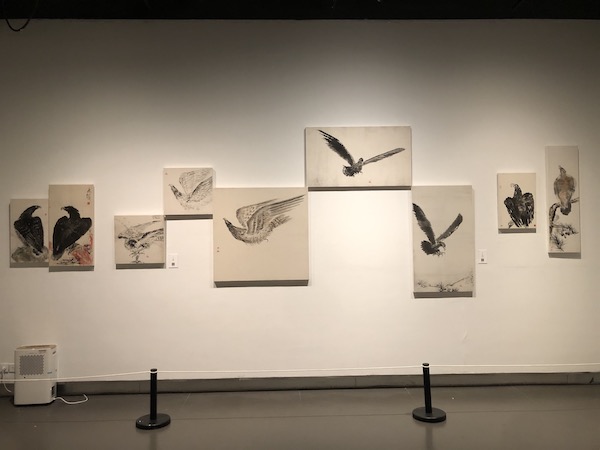 浙江美术馆以一面墙呈现钱瘦铁的各类画《鹰》之作