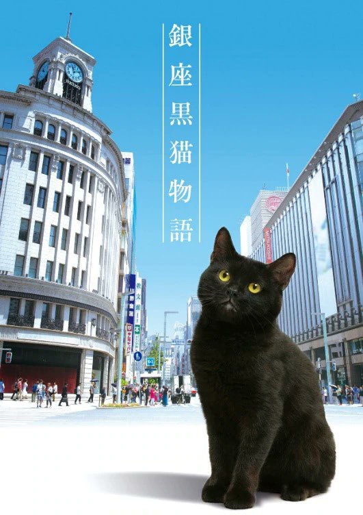 《银座黑猫物语》海报