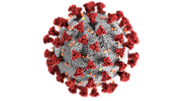 美国官方的新冠病毒可视化图像