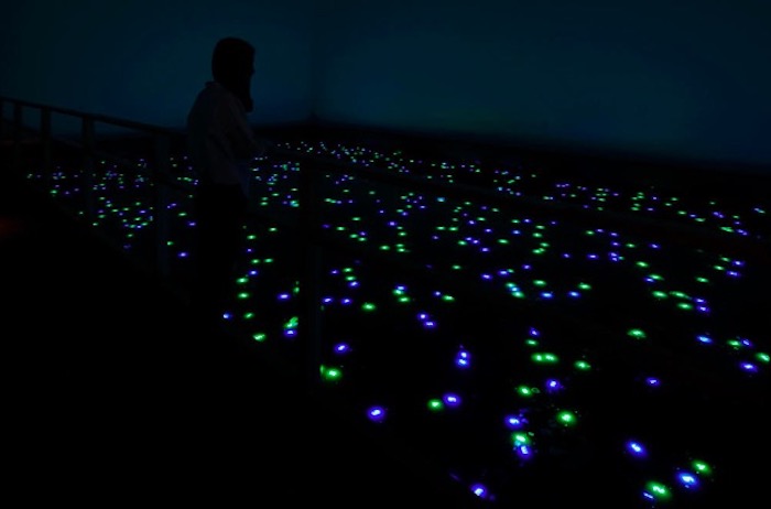 宫岛达男，《“时间之海-东北”计划（2020东京）》，防水LED、电线、集成电路、水，2020年（“繁星展”展览作品），摄影:高山幸三