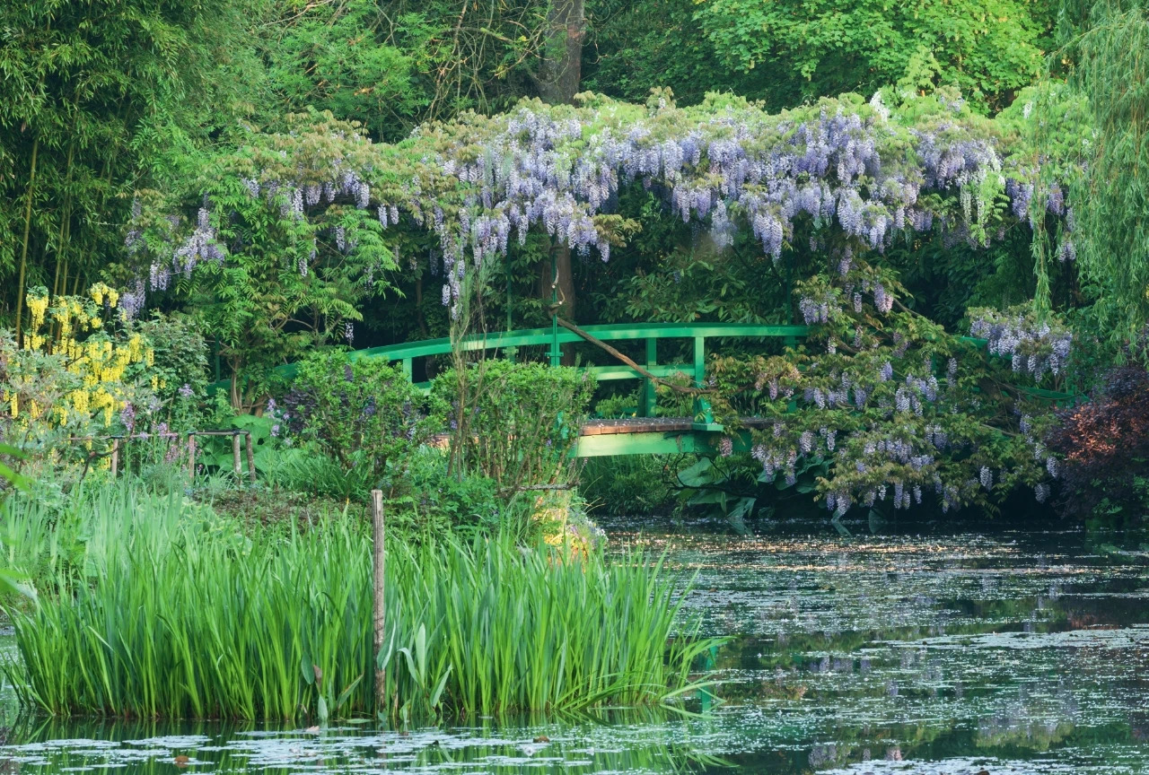 1895年，莫奈让人建造了一座覆盖着紫藤花的日本桥