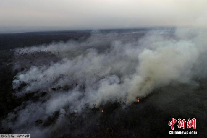 (图6)近日，亚马孙河州阿普伊附近，伐木者和农民用大火清理了一片亚马逊雨林。据报道，亚马孙雨林7月发生的火灾数量比去年同期增长了28���巴西国家空间研究院称，仅在7月30日，卫星就探测到亚马孙地区发生了1007起火灾。