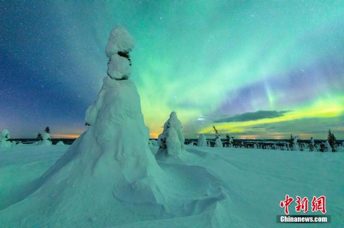 4月30日讯(具体拍摄时间)，芬兰Riisitunturi国家公园，壮丽北极光下，森林树木被白雪覆盖。这一自然景象打造出美丽的蓝绿色天空。气温低至零下20摄氏度，高15英尺的树木完全被皑皑白雪覆盖。 图片来源：视觉中国