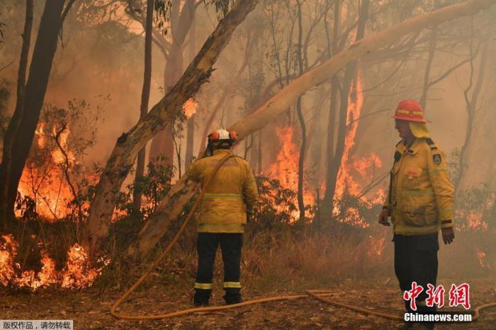 (图5)当地时间2019年12月10日，澳大利亚悉尼，新南威尔士州大火持续蔓延，悉尼上空烟雾弥漫，消防队员持续救援，以保护居民区免受森林大火的侵袭。