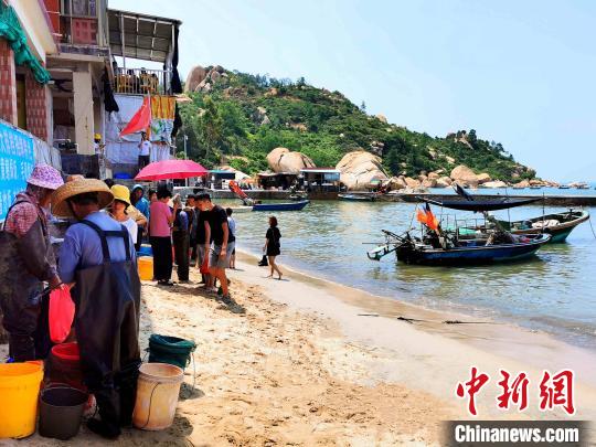 游客前往海边购买刚到岸的新鲜海产 李晓春 摄