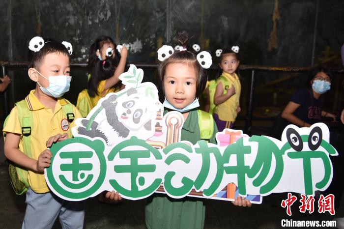 现场同步启动深圳野生动物园“2020国宝动物节” 李木生 摄