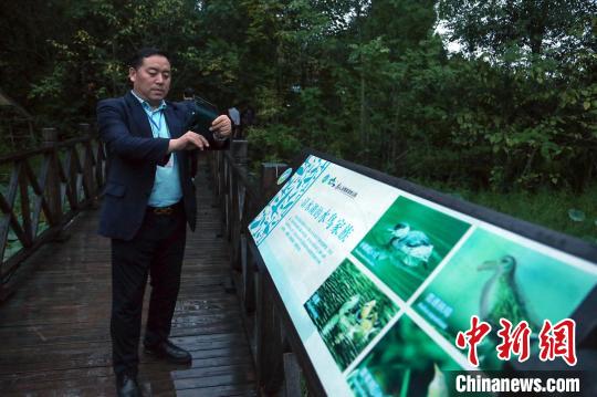 中国侨网澳大利亚澳华电视传媒董事长、《新市场报》总编辑任传功在南充营山清水湖国家湿地公园拍照留念。　王磊　摄