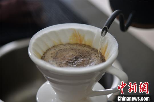 中国侨网醇香的兴隆咖啡。　凌楠　摄