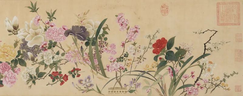 清·邹一桂绘 《百花图》卷（局部） 中国国家博物馆藏