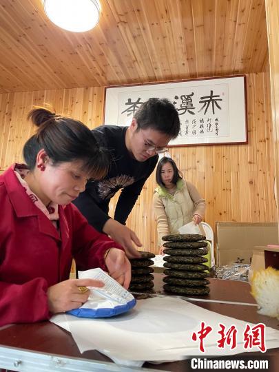 图为返乡创业大学生杜赢(左二)在整理白茶饼。　林春茵 摄