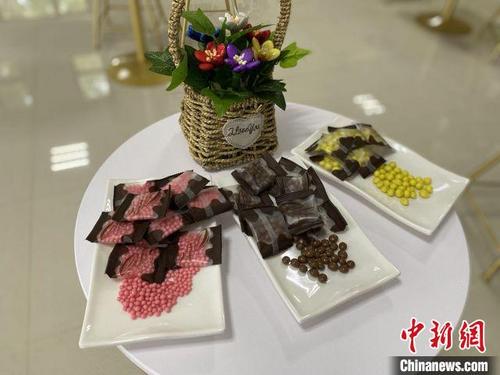 中国侨网中国热带农业科学院科研团队研发的巧克力新产品。　符宇群　摄