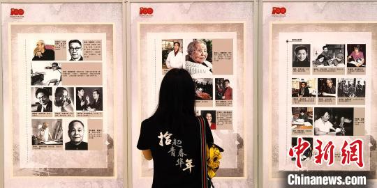 中国侨网市民参观展览。　尹海明　摄