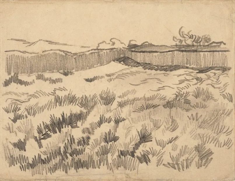 《墙内的麦田》 创作于1890年 现藏于梵高博物馆