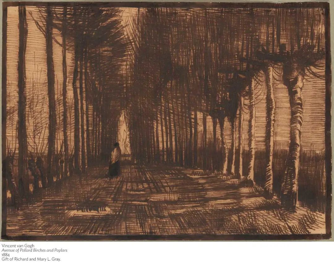 梵高《树木成行的大道》，芝加哥艺术博物馆藏