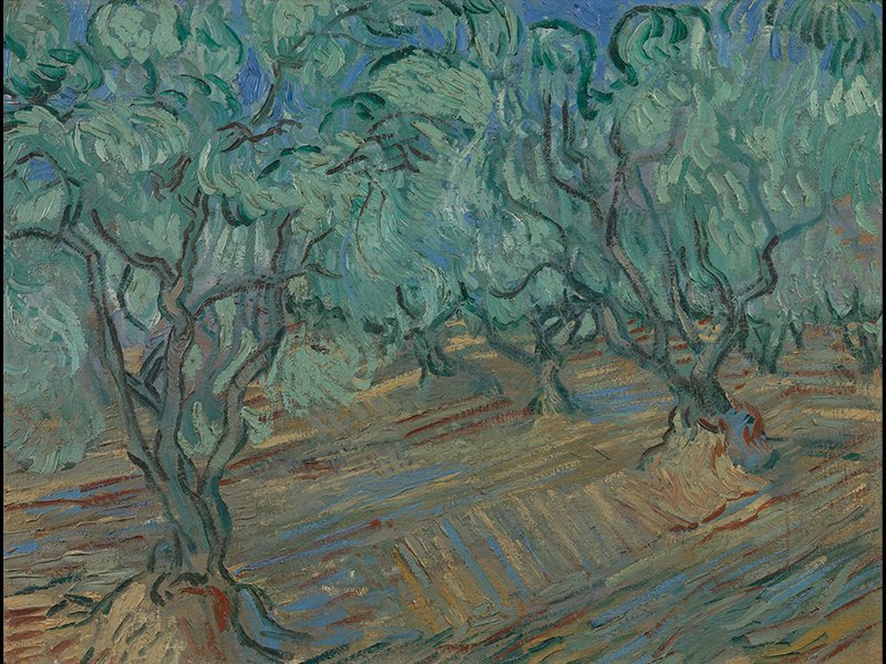 梵高，《橄榄林》，1889年6月，布面油画， 阿姆斯特丹梵高博物馆藏（MIA展出作品）