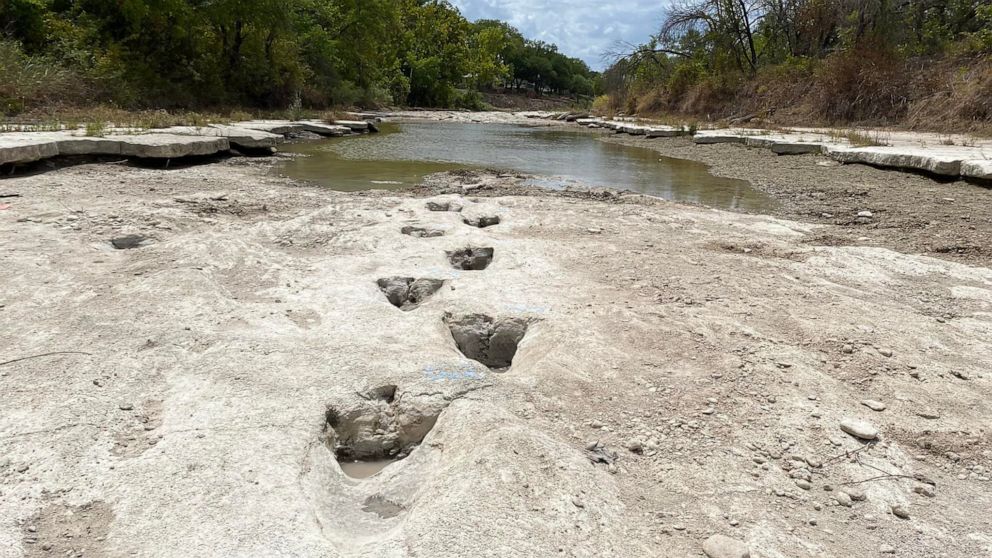 PHOTO: This handout image obtained on August 23, 2022 courtesy of the Dinosaur Valley State Park shows dinosaur tracks from around 113 million years ago, discovered in the Texas State Park after a severe drought conditions that dried up a river.