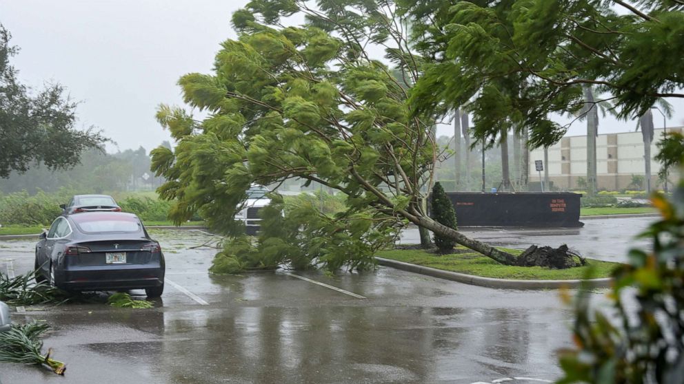 PHOTO: Gusts from Hurricane Ian begin to knock down small trees and palm fronds in a hotel parking lot in Sarasota, Fla., Sept.  28, 2022. 