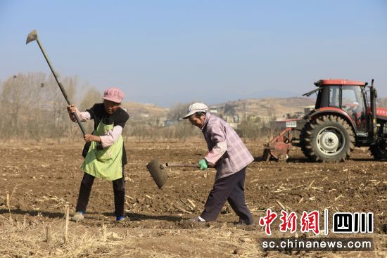  盐源县当地居民正在春耕。王磊摄