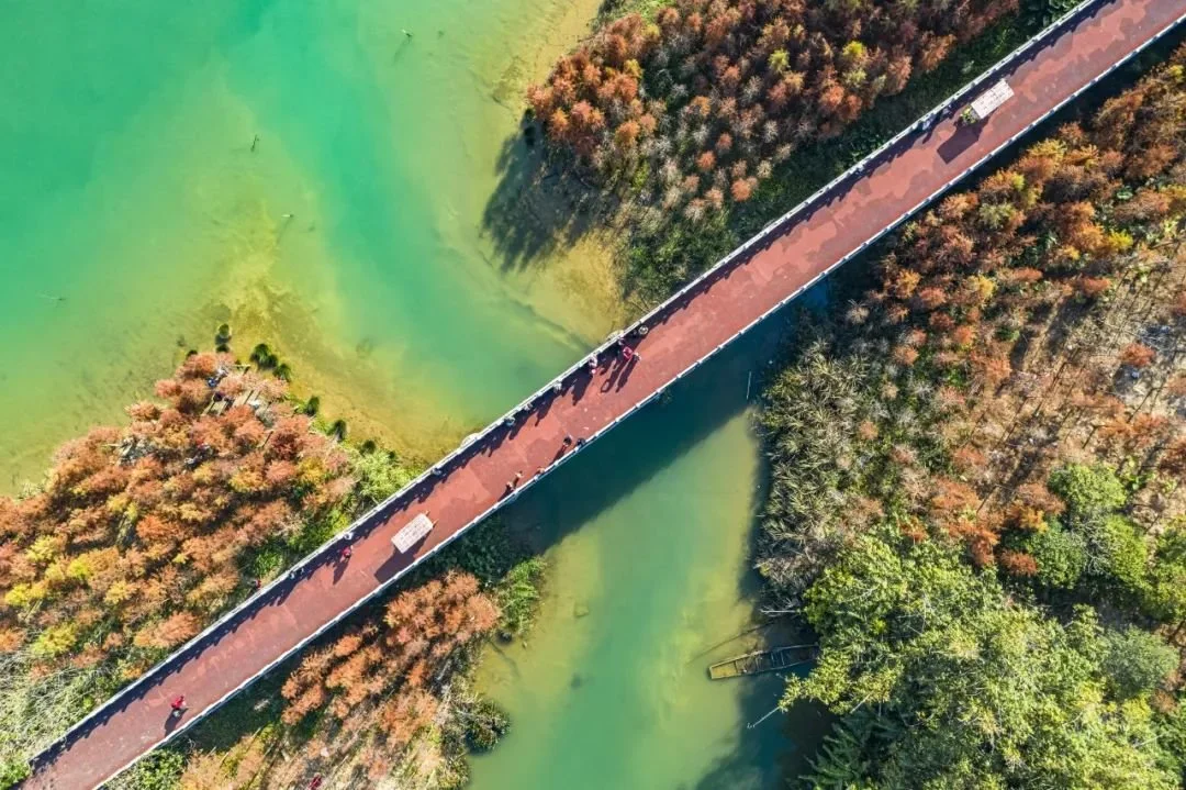 柳州沿江绿道，散步赏景