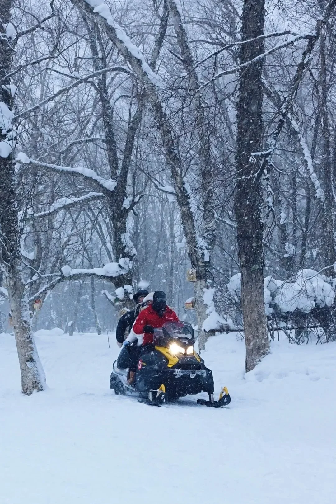 △雪地摩托体验要价从70元到180元不等。 /作者供图