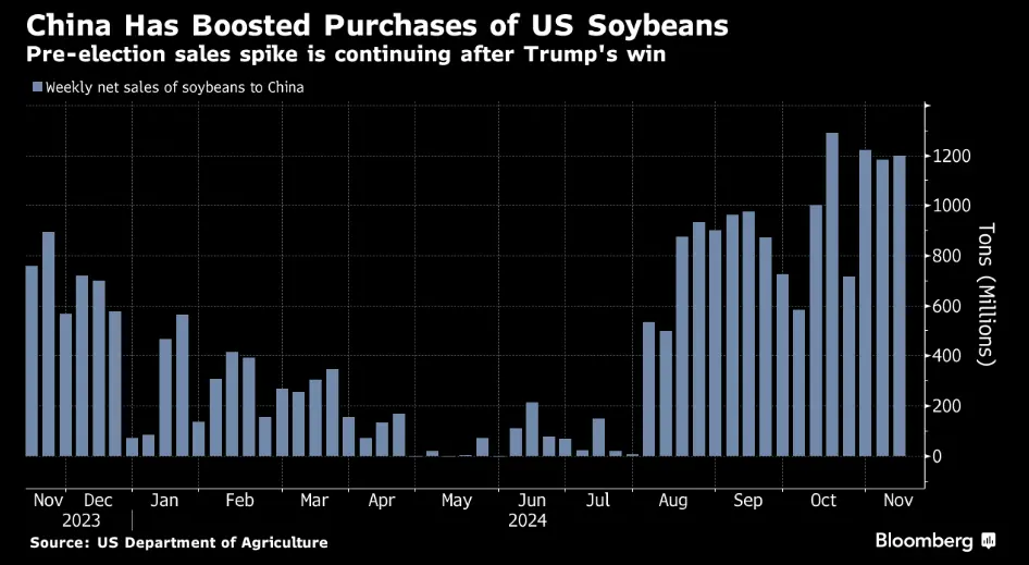 外媒：美国大选以来，中国继续购买美国大豆