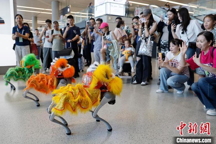 中国侨网6月29日，旅客在虹桥机场T2航站楼内，用手机拍摄“机器狗”表演。当日，上海机场集团推出一系列“文化+商业+服务”的系列活动，为广大旅客提供更具人文气质和服务品质的出行体验。中新社记者 殷立勤 摄